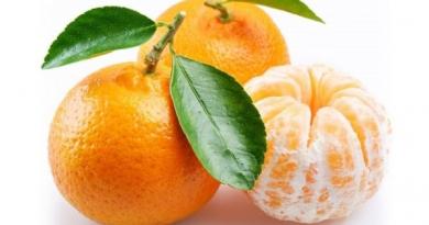 Мандарины, полезные свойства и калорийность «Толстеют ли от мандарин?